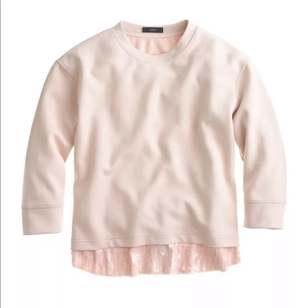 J. Crew Blush Sequin Trim Sweater/Sweatshirt